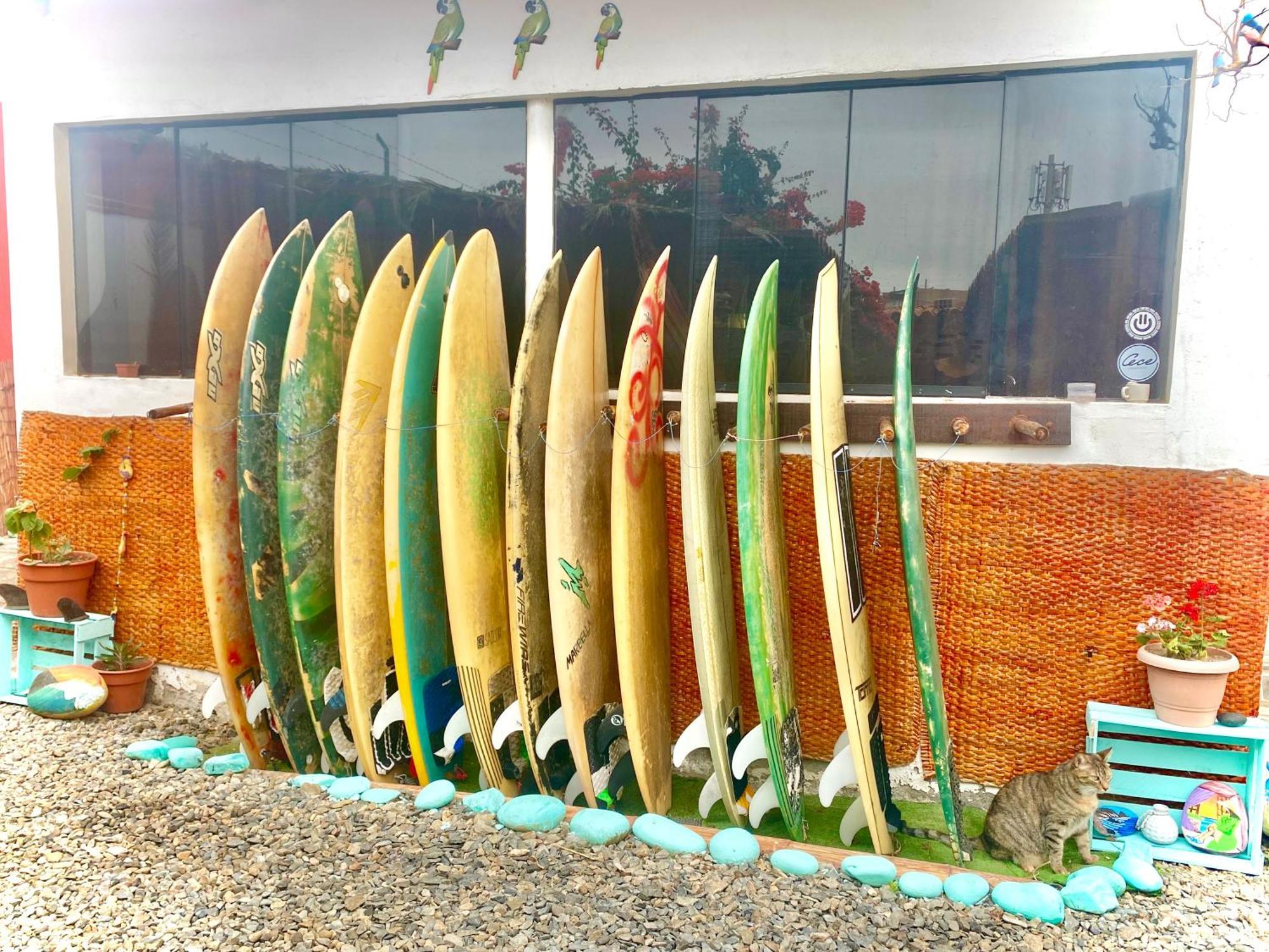 Surf House Chicama Hotel Puerto Chicama Ngoại thất bức ảnh