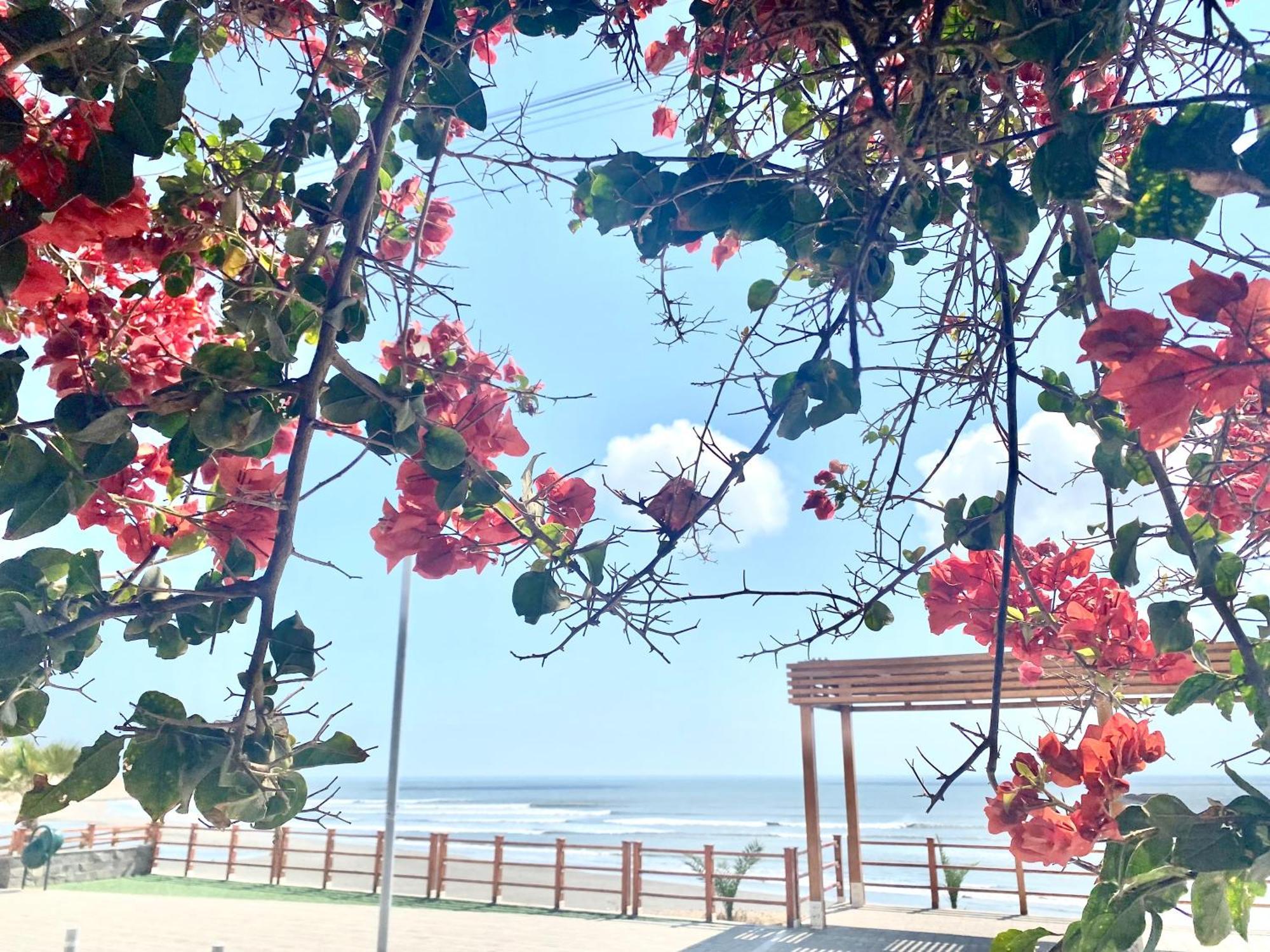 Surf House Chicama Hotel Puerto Chicama Ngoại thất bức ảnh