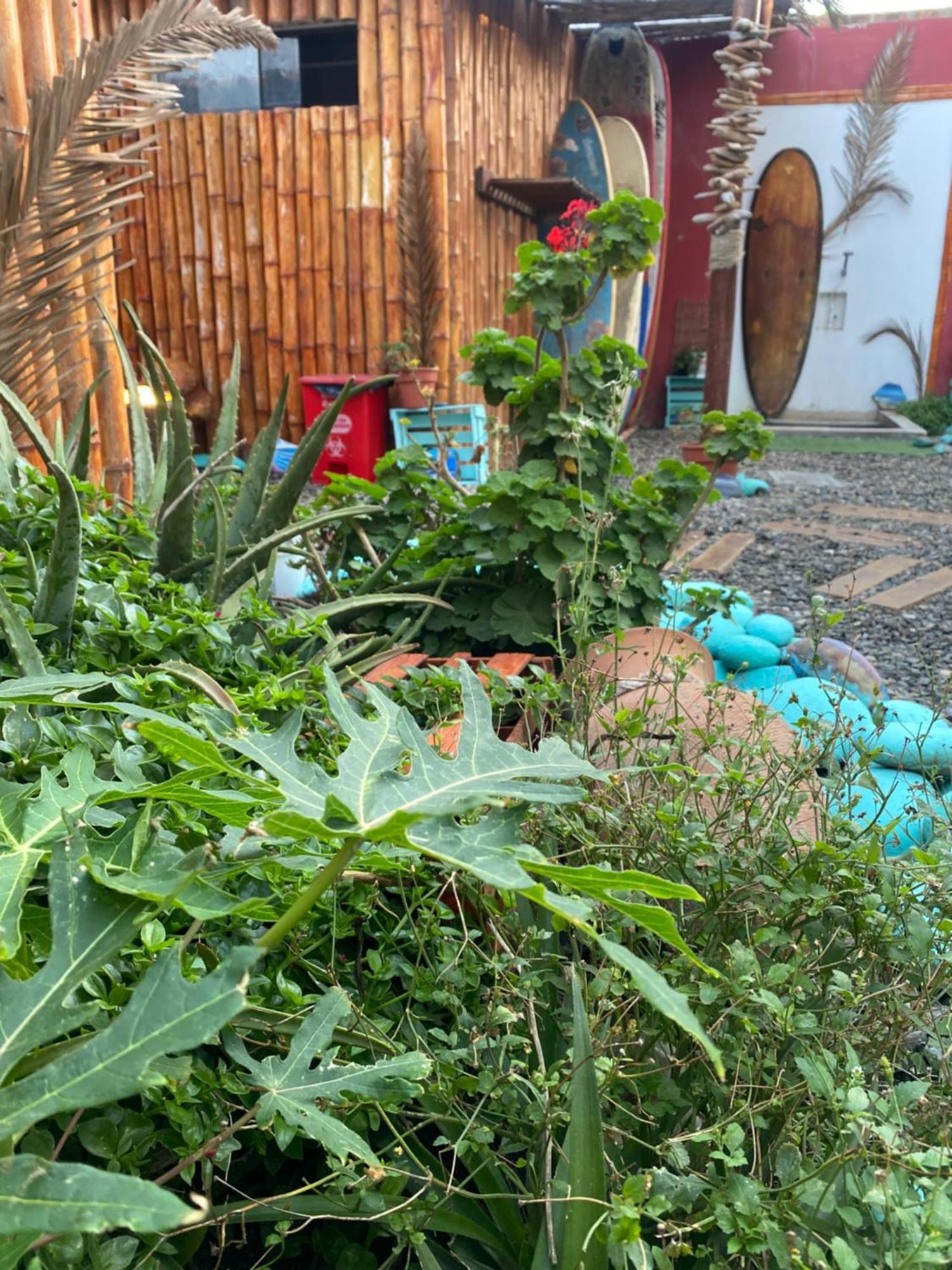 Surf House Chicama Hotel Puerto Chicama Ngoại thất bức ảnh